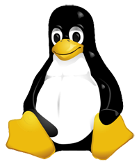Partitii Linux in Windows